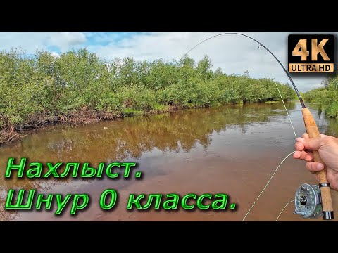 Видео: Тест шнура 0 класса.