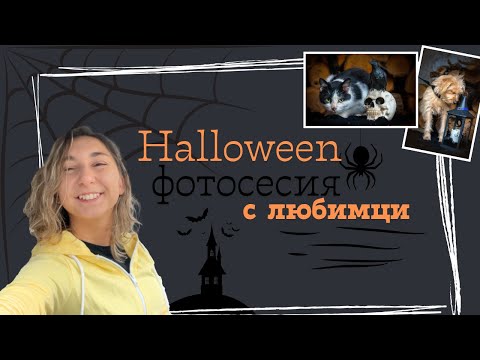 Видео: Halloween фотосесия с любимци