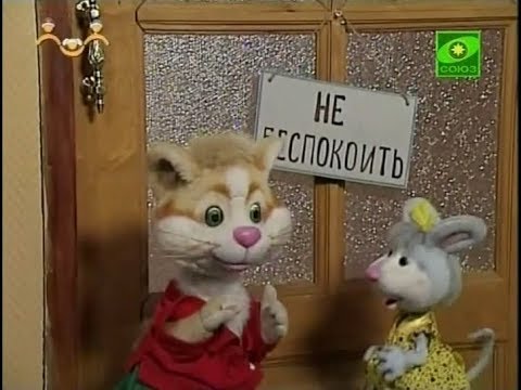 Видео: 🤫Шишкин лес - 193 - Енотыч устал