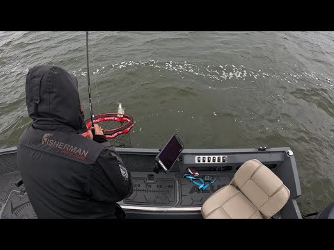 Видео: Попали в ЛЮТИЙ ШТОРМ але СУДАКА НАЛОВИЛИ!!!