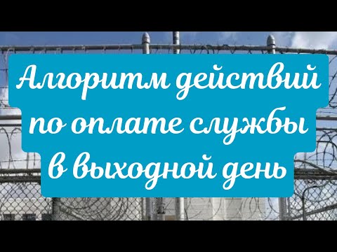 Видео: Алгоритм действий по оплате службы в выходной день
