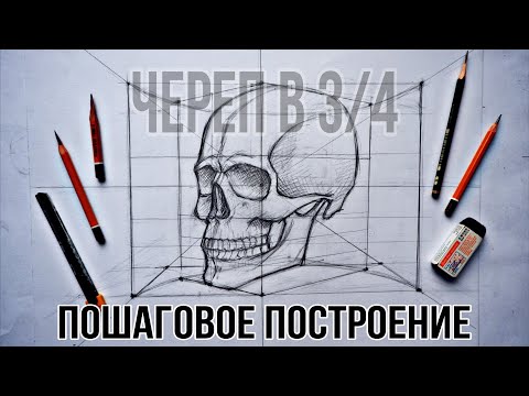 Видео: Как Нарисовать Череп в 3/4