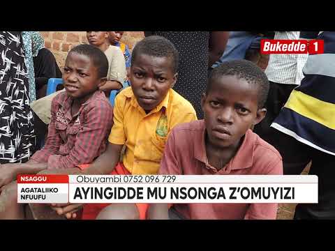 Видео: RDC вмешивается в дело студента, арестованного за родительский кредит.