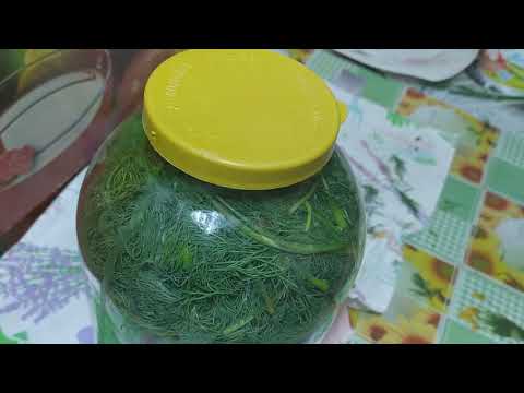 Видео: Как сохранить укроп свежим долгое время