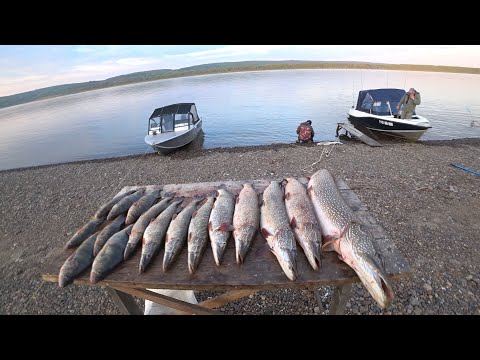 Видео: Дорога в рыбный рай и первые трофеи