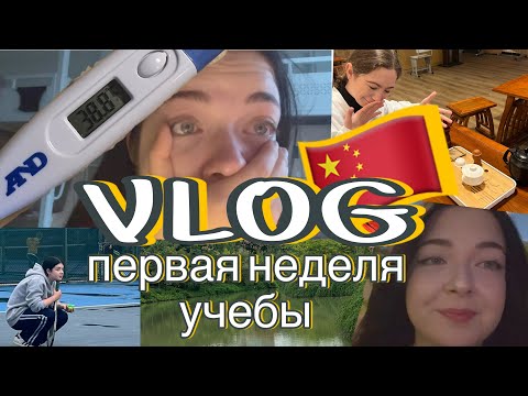 Видео: VLOG первая неделя учебы первокурсника в Китае🇨🇳