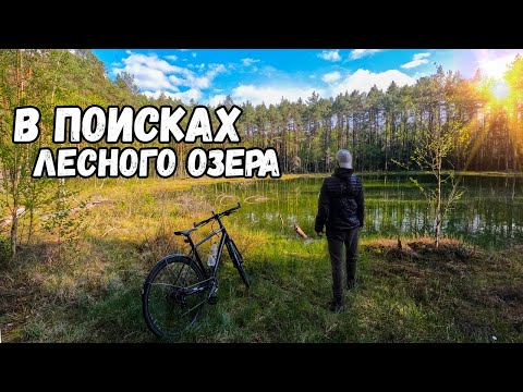 Видео: Велопоход в Поисках Лесного Озера. Сквозь деревни, леса, поля. 60 км по Западной Беларуси.