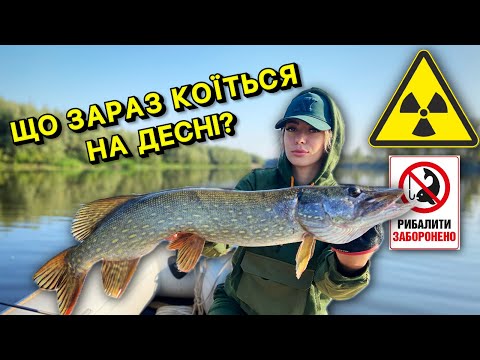 Видео: ЩО КОЇТЬСЯ НА ДЕСНІ? ЗАБРУДНЕННЯ НА РІЧЦІ ДЕСНА - ЧИ Є ВОНО? РИБАЛКА НА ЩУКУ НА BIG BAITS