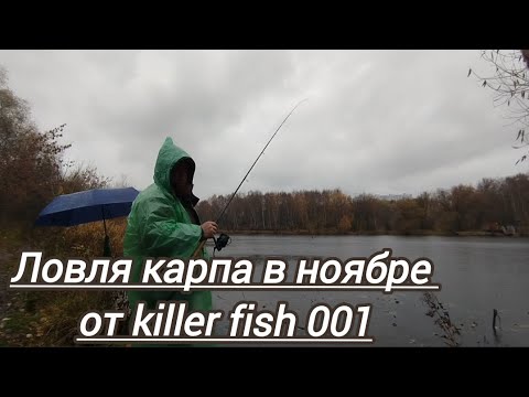 Видео: ФИДЕР КАРП ПЛОТВА В НОЯБРЕ РЫБАЛКА 