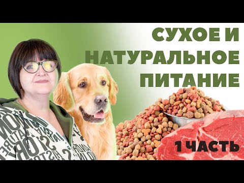 Видео: Сухое и натуральное питание. Какое выбрать? - 1 Часть - Питание собаки.