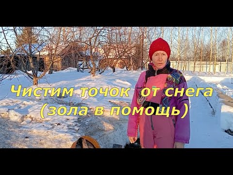 Видео: Чистим точок от снега (зола в помощь)(17.03.2024)