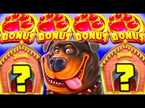 Видео: ФИФИЧ ВЫИГРАЛ 250к ??? В THE DOG HOUSE ??? ЭТО САМАЯ ВКУСНАЯ БОНУСКА В СОБАКАХ !!!!