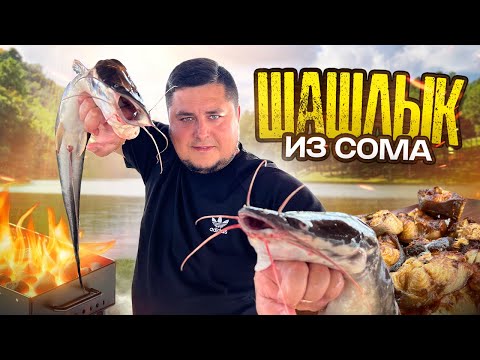 Видео: Невероятный шашлык из сома — просто и вкусно!
