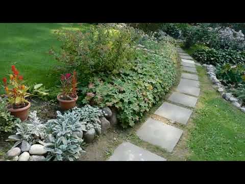 Видео: Сад  окутанный любовью и одет в заботу. Сад Сергея и Зинаиды.