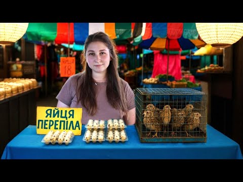 Видео: Бізнес на перепілках | Рахуємо прибуток | Чи реально заробити