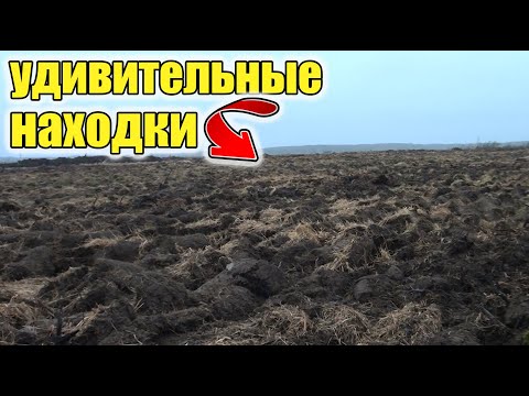 Видео: Удивительные находки на старой деревушке .Я такого никогда не находил.Коп старины с металлоискателем