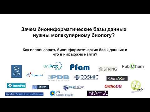 Видео: BD0. Зачем биоинформатические базы данных нужны генному инженеру