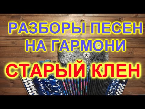 Видео: РАЗБОРЫ ПОД ГАРМОНЬ! СТАРЫЙ КЛЕН!