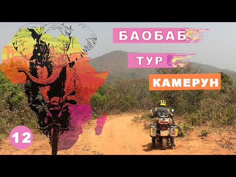 Видео: Баобаб тур. Камерун. Мое большое путешествие на мотоцикле по Африке #12