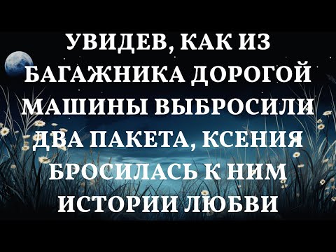 Видео: Увидев, как из багажника дорогой машины выбросили два пакета, Ксения бросилась к ним Истории любви