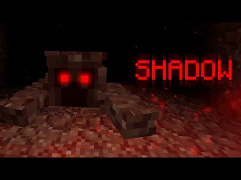 Видео: ЗАБАГОВАННЫЙ ФИНАЛ ▷ Shadow #3