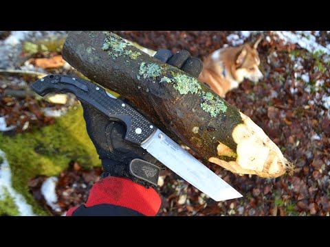 Видео: тест ножа Cold Steel Voyager XL Tanto / test