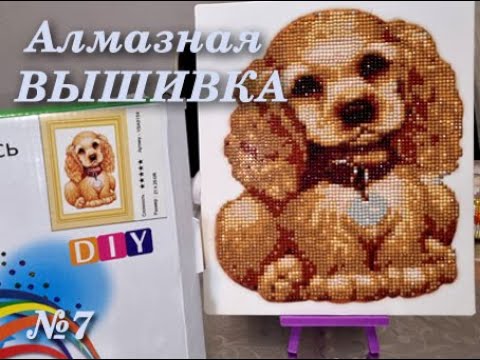 Видео: #7 Алмазная ВЫШИВКА для души! Полный процесс. Собачка