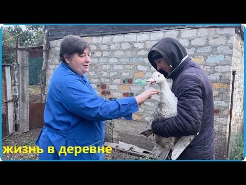 Видео: ЖИВЁМ КАК ЖИВЁТСЯ И РАДУЕМСЯ ТОМУ ЧТО ЕСТЬ, ЖИЗНЬ В ДЕРЕВНЕ
