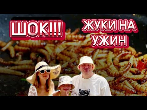 Видео: Жареные насекомые, Локальный рынок, Паттайя 2024. Лучшие место для туристов Таиланд 2024