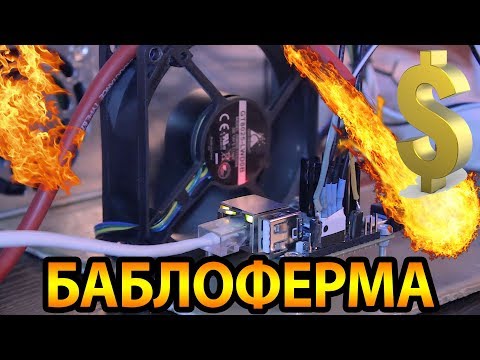 Видео: БАБЛОФЕРМА на orange pi - Часть 4