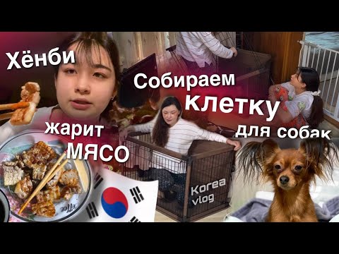 Видео: Собираем клетку без мужчин/Милана жарит мясо/Лола и Яра в ринге на тренировке/KOREA VLOG
