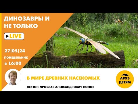 Видео: Занятие "В мире древних насекомых" кружка "Динозавры и не только" с Ярославом Поповым