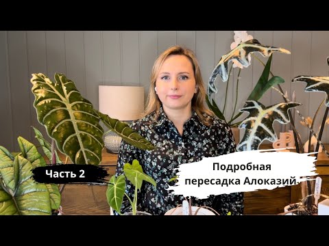 Видео: Так зимовать нельзя // Часть 2