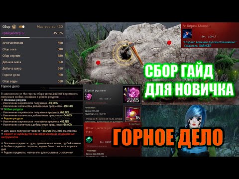 Видео: Black Desert СБОР ГАЙД ДЛЯ НОВИЧКА \ КОРАЛЛЫ РУСАЛКИ 1ккк+ в час