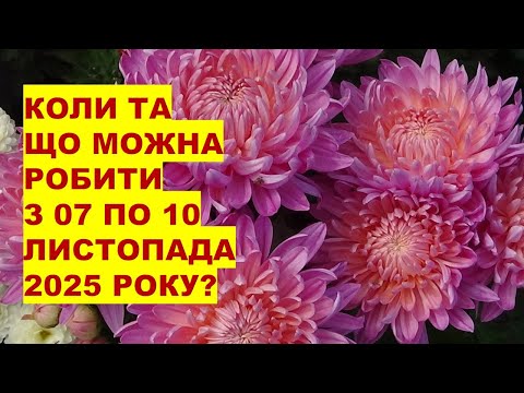 Видео: Коли та що робити з 07 по 10 листопада 2025 року?