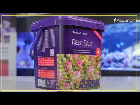 Видео: Почему мы перешли на Reef Salts, и вам тоже стоит поступить так же