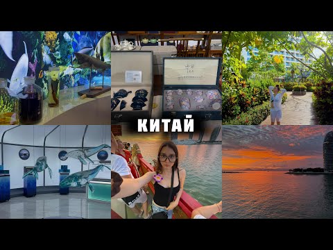 Видео: Влог: Обзорная экскурсия🌸 Яхта, акулы и чай😜