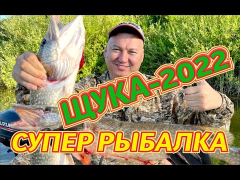 Видео: ЩУЧЬИ ГОЛОВЫ 22 07 2022