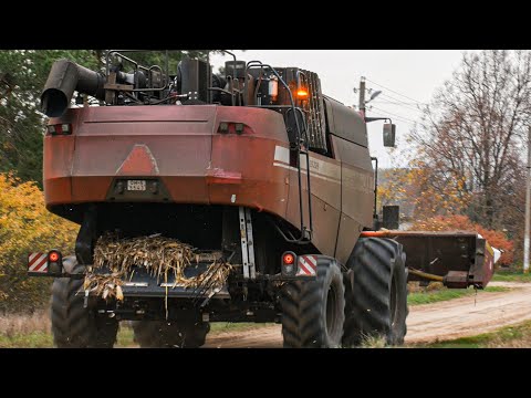 Видео: Уборка кукурузы на зерно / GOMSELMASH GS2124 / МАЗ 5551 /