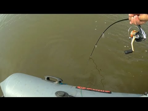 Видео: Блесны ловили и будут ловить! Колебалка на щуку