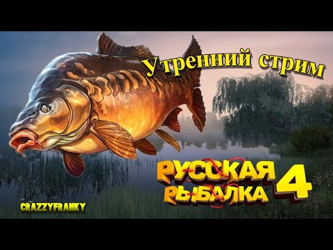 Видео: Утренний стрим: походим,половим...РР4/Русская Рыбалка 4