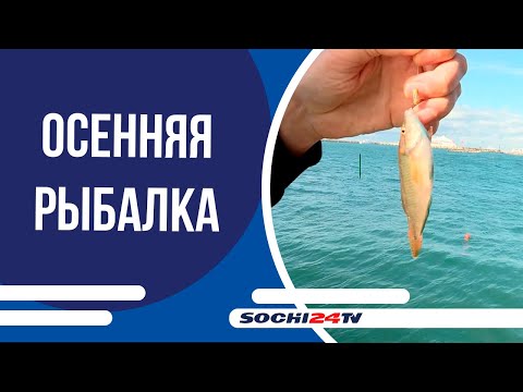 Видео: В Сочи идет осенняя рыбалка