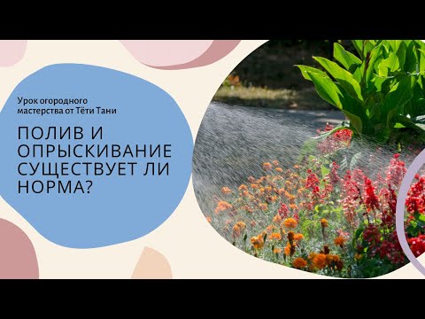 Видео: Полив. Сколько надо одному  растению.