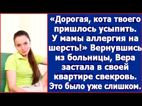 Видео: Дорогая, кота твоего пришлось усыпить.У мамы аллергия на шерсть! Заявил муж.