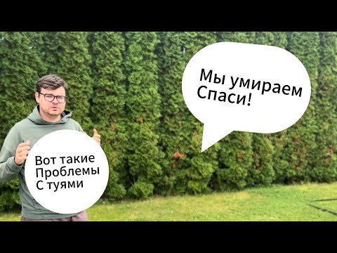 Видео: Влог 4. Спасти забор из туй! Миссия выполнима!