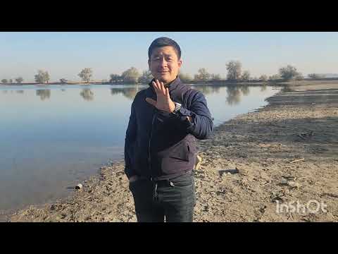 Видео: поймут рыбаки