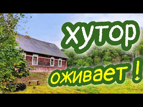 Видео: ХУТОР за 100.000₽ // начало положено // ПЕРВЫЕ ИЗМЕНЕНИЯ