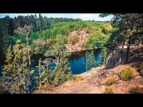 Видео: Велопоход на Ястребиное озеро и Треугольное озеро. Байкпакинг вдоль границы с Финляндией.