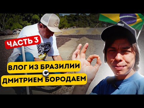 Видео: Влог из Бразилии с Дмитрием Бородаем | ферма Trapia | ферма Santa Cruz | часть 3