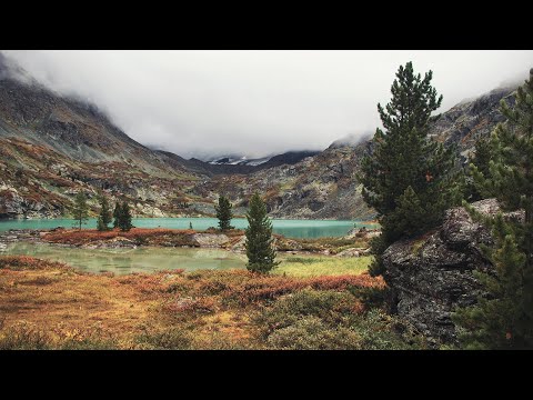 Видео: Путь. Одиночный 10-дневный поход по Горному Алтаю